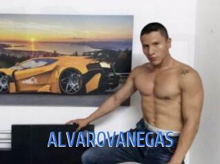 ALVAROVANEGAS