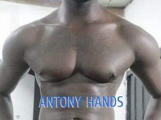 ANTONY_HANDS