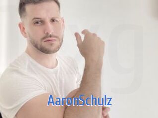 AaronSchulz