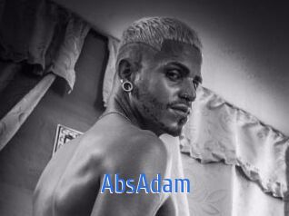 AbsAdam