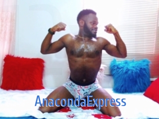 AnacondaExpress