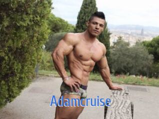 Adamcruise