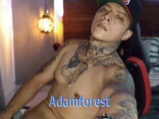 Adamforest