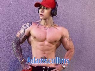 Adamscollims