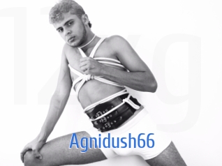 Agnidush66