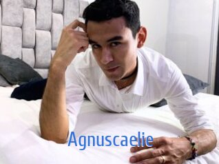 Agnuscaelie