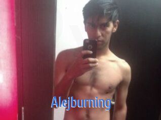 Alejburning