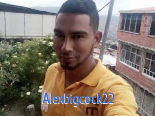 Alexbigcock22