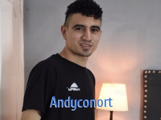 Andyconort