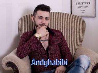 Andyhabibi