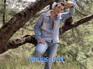 Andysgeert