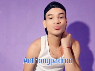 Anthonypadron