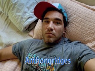 Anthonyridges