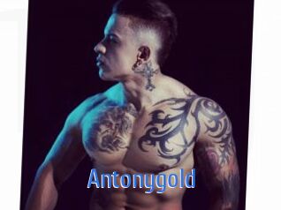 Antonygold