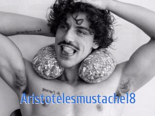 Aristotelesmustache18