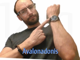 Avalonadonis