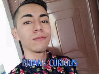 BRIANS_CURIOUS