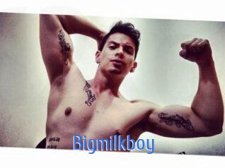 Bigmilkboy