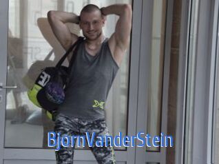 BjornVanderStein