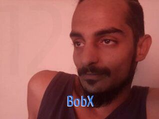 BobX