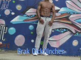 Brak_Dick11inches