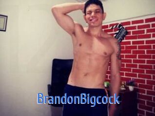 BrandonBigcock