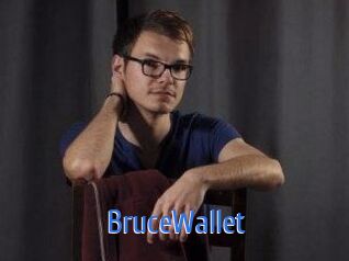 BruceWallet