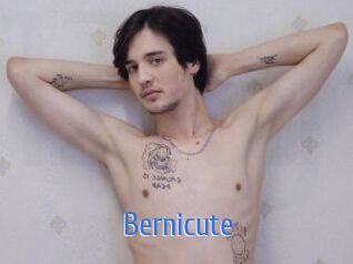 Bernicute