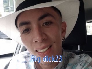 Big_dick23