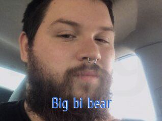 Big_bi_bear