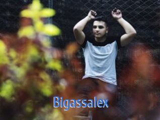 Bigassalex