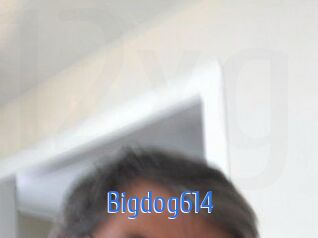 Bigdog614