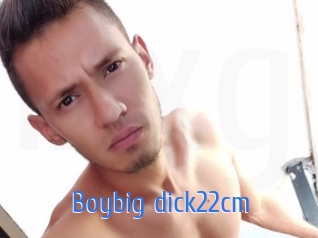 Boybig_dick22cm