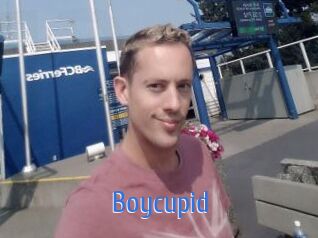 Boycupid