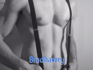 Bradharvey