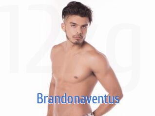 Brandonaventus