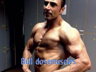 Bull_dosemuscles