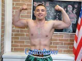 CarlitoBoxer