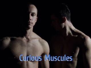 Curious_Muscules