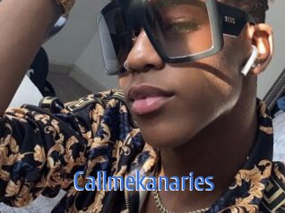 Callmekanaries