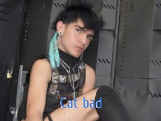 Cat_bad