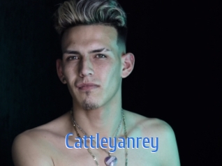 Cattleyanrey