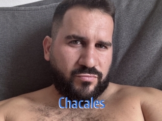 Chacales