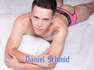 Daniel_Schmid