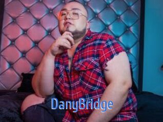 DanyBridge