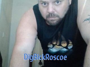 DigBickRoscoe