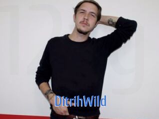 DitrihWild