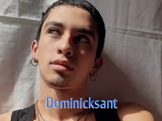 Dominicksant