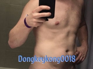 Dongkeykong0018