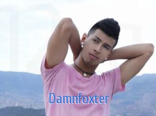 Damnfoxter